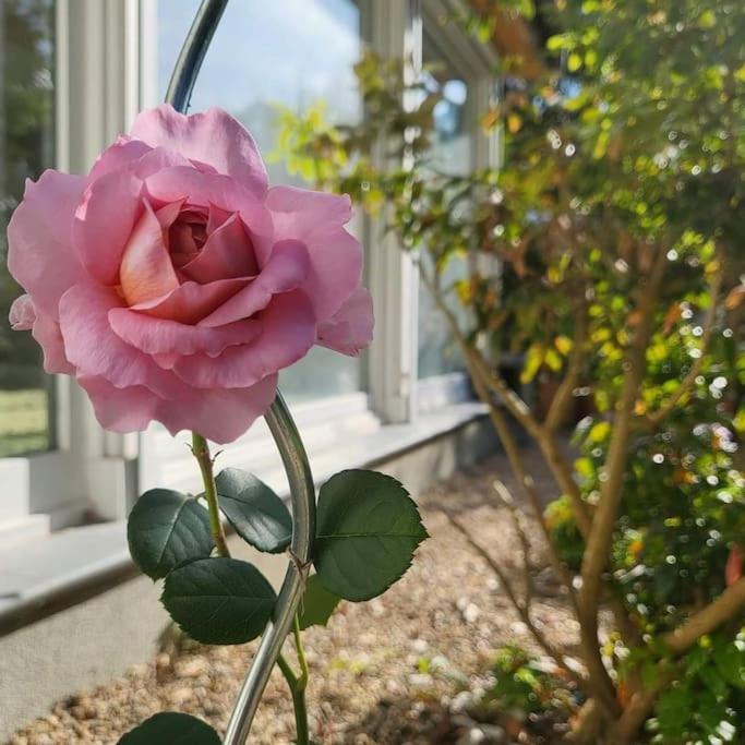 Haus Am Walde Διαμέρισμα Müllrose Εξωτερικό φωτογραφία